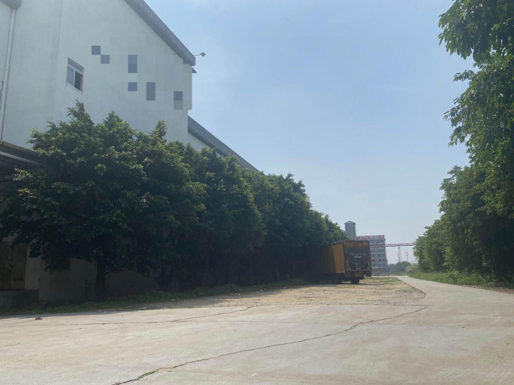 原房东大型独门独院证件齐全滴水十米钢结构单一层厂房